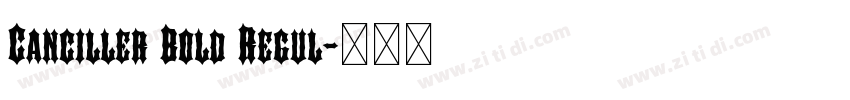 Canciller Bold Regul字体转换 Canciller Bold Regul字体转换